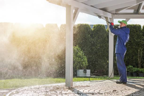 Pre-Holiday Cleaning in San Fernando, CA